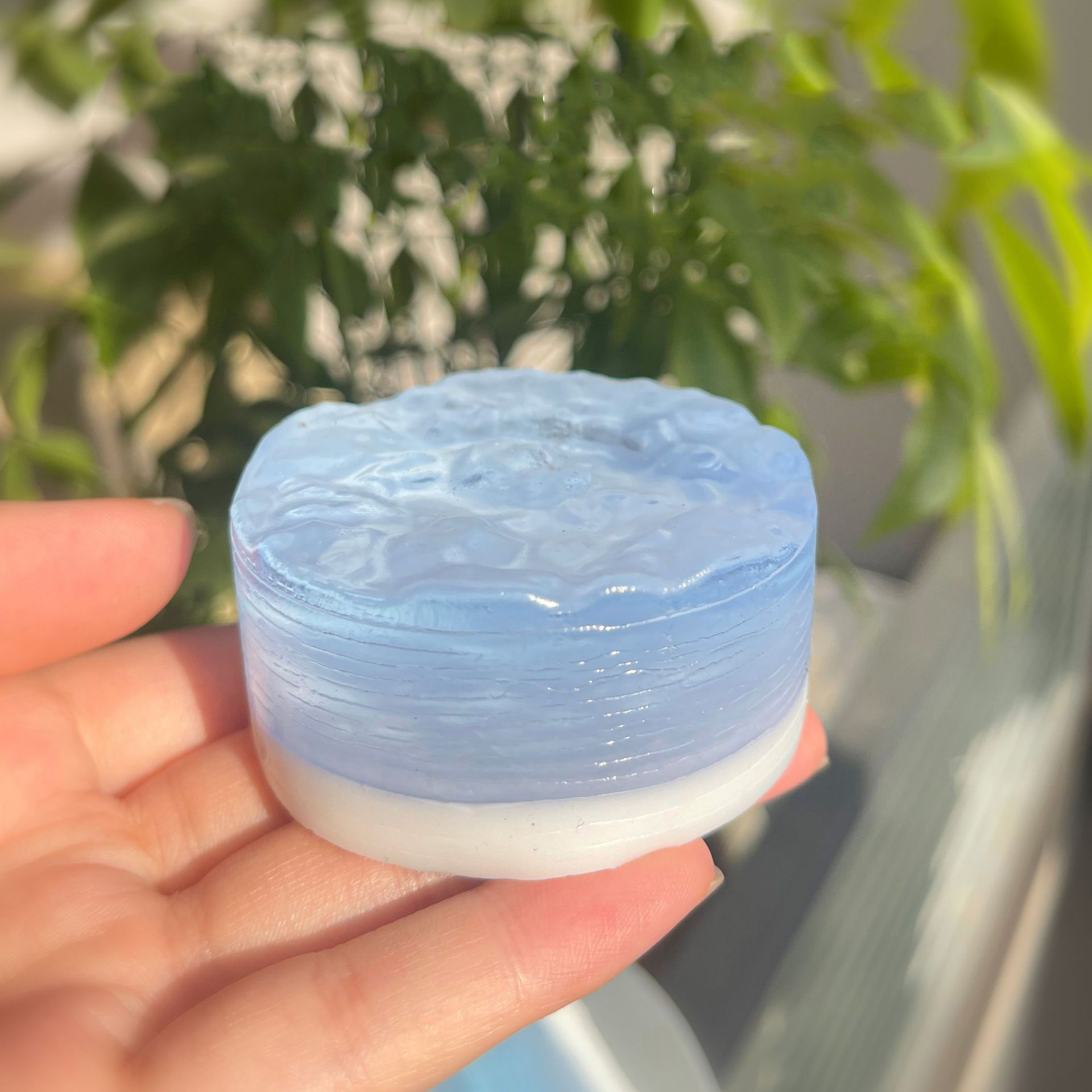 20756-Mousse de sel de mer transparente spongieuse
