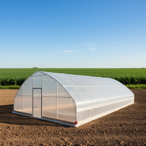 Invernadero Tipo Túnel 25 x 60 con Lámina de Plástico EVA Transparente de 6 Mil, Invernadero Agrícola con Lados Enrollables Manualmente - Product Image 2