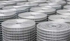Factory Price Galvanized Welded Wire Mesh Roll For Sale