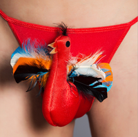 Vente en gros de sous-vêtements pour hommes, caleçons respirants et sexy, boxers personnalisés en coton pour hommes, jouets sexuels pour hommes gays