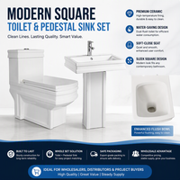 Ensemble WC et lavabo sur pied en céramique blanc pour salle de bain, modèle Factory Square, à poser au sol, monobloc