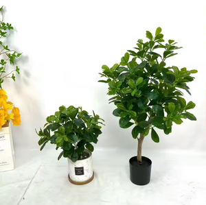 Venta al por mayor de alta calidad Folium <span class=keywords><strong>Ilex</strong></span> grandes plantas artificiales - Product Image 6