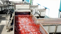 Volledig automatische tomatenverwerkingsapparatuur, turnkey tomatenpuree productielijn, mixer voor tomatensausconcentraat