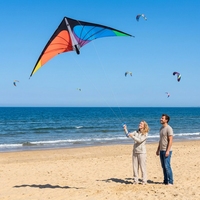 SUNEYE SEF17 Zhejiang Kite 2.4m Dual-Line Polyester Fabric Durable Stunt Sports Soaring Swallow Ready Fly Adults Freestyle 30m