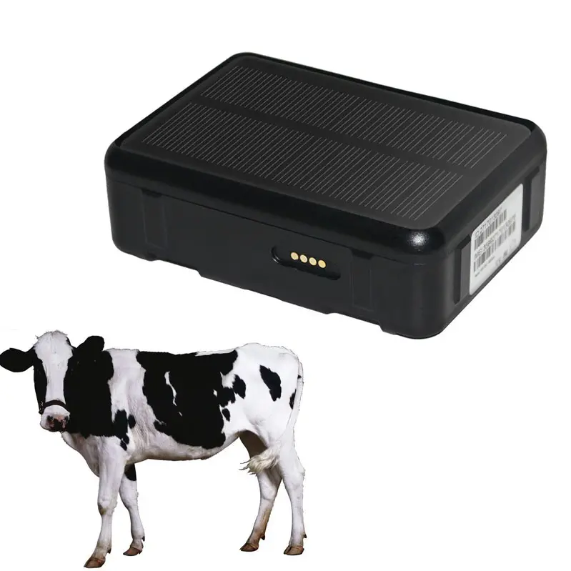 Eartags para animais de 9000mah, antirroubo ip67 à prova d'água, dispositivo de rastreamento gps para gado