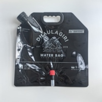 Sacs en plastique de qualité alimentaire 1L 3L 5L 10L personnalisés avec poignée Pochette à eau portable en matériau PE avec impression personnalisée pour le stockage et le transport