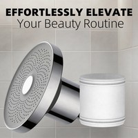 Filtre de douche moderne écologique Chrome avec une seule sortie et une filtration puissante pour salle de bain