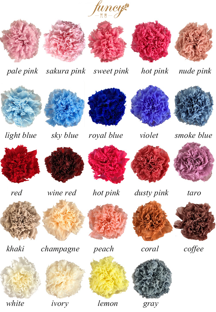 color chart