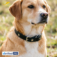 Collier pour chien en cuir véritable fait main avec poignée de maintien, boucle en laiton durable, collier rembourré confortable pour animaux de compagnie
