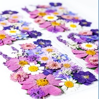 ZS024 petit cadre de coque de téléphone avec fleur sèche fleurs séchées pressées pour décor d'art d'ongle pour Noël ou l'obtention du diplôme