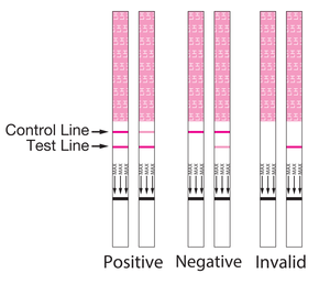 Bandes de <span class=keywords><strong>test</strong></span> d'<span class=keywords><strong>ovulation</strong></span> LH, kit de prédiction de la fertilité en une étape, <span class=keywords><strong>OEM</strong></span> - Product Image 5