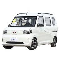 Automóvil WuLing, WuLing Zhiguang Nueva Energía 2025, Tipo Comfort de 201 km de Autonomía