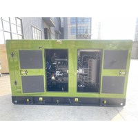 Générateurs alternatifs portables Citylion pour la maison 100 KVA 100KVA 80KW 80 KW Générateur diesel silencieux