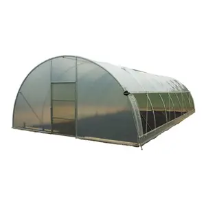 Low cost agricultural poly tunnel green house commercial steel galvanized pipe single span plastic greenhouse