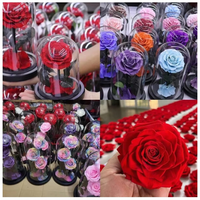 Roses éternelles personnalisées dans un dôme en verre, fleurs préservées, cadeau pour la Saint-Valentin, la fête des mères, Thanksgiving, Halloween, Noël, décoration de la maison