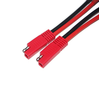 Câble d'extension à déconnexion rapide, connecteur SAE rouge à 2 broches, faisceau de câblage pour chargeur de batterie de moto électronique