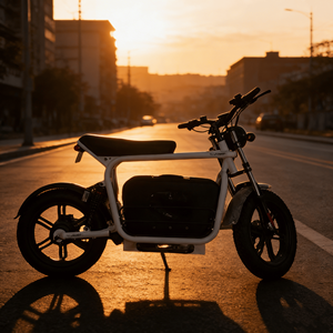 Bicicletta Elettrica Fat Tire da Montagna 20 Pollici Fuoristrada per Adulti con Motore Posteriore, Telaio in Acciaio e Batteria al Litio - Product Image 6