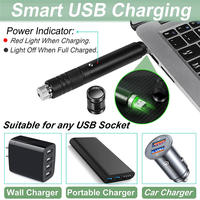 Pointeur laser vert rechargeable par USB, faisceau laser longue portée