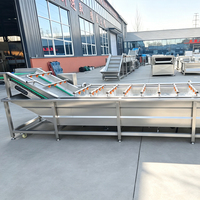 Industriële wasmachine voor groenten en fruit van roestvrij staal met belletjeswasmethode