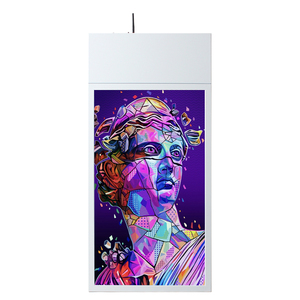 Thâm quyến tại chỗ treo double side <span class=keywords><strong>LCD</strong></span> kỹ thuật số biển hiển thị <span class=keywords><strong>55</strong></span> inch Máy nghe nhạc quảng cáo kiosk màn hình - Product Image 4