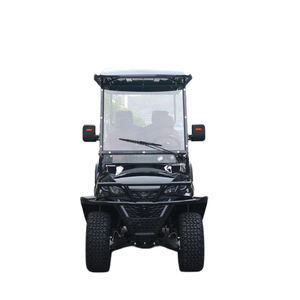 ROYALWAVE 2025 – Nouveau chariot de golf Tao 4+2 places, batterie 72 V, moteur à disque unique, utilitaire motorisé, 30 km/h, 70-90 km, import Chine/USA - Product Image 2
