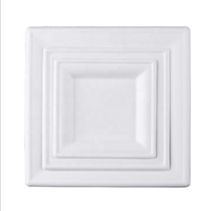 10 inch Trắng phân hủy sinh học mía bã mía tấm ăn tối hình vuông cho cắm trại - Product Image 3