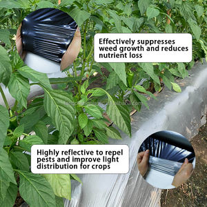 Pellicola di plastica 30 Micron a strisce nere e trasparenti per cipolle e <span class=keywords><strong>Film</strong></span> di pacciame agricolo - Product Image 5