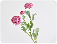 Fleurs artificielles en soie faites à la main, style moderne, en gros, fausses pivoines blanches et roses préservées, décoration florale d'Halloween, cadeau