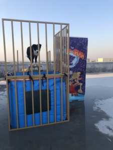 WINSUN jeu de réservoir de <span class=keywords><strong>dunk</strong></span> bon marché, réservoir de <span class=keywords><strong>dunk</strong></span> de ballon d'eau à louer - Product Image 3