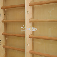 Moetry Indoor Kids Gym Set Cadre d'escalade en bois Singe Bars avec hamac Lit en tissu pour thérapie pédiatrique Maternelle