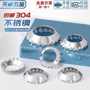 Tianzhuo Hardware 304 Stainless Steel Conical Toothed Locking Washer M3 M4 M5 M6 M8 M10 External Toothed Funnel Type - Product Image 2