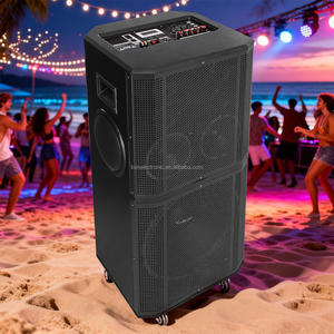 ลำโพงพกพาขนาด 15 นิ้ว ลำโพงไร้สายขนาดใหญ่ เครื่องคาราโอเกะ ลำโพงสำหรับใช้งานกลางแจ้ง ระดับมืออาชีพ - Product Image 1