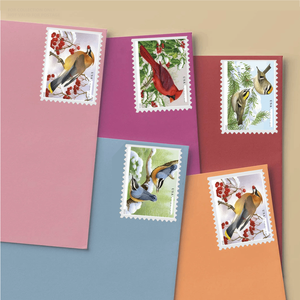 Album de <span class=keywords><strong>timbres</strong></span>-<span class=keywords><strong>poste</strong></span> et d'étiquettes pour envoi postal, avec motifs supplémentaires de l'année 2016 : Oiseaux de <span class=keywords><strong>la</strong></span> forêt dans <span class=keywords><strong>la</strong></span> neige, et thèmes de <span class=keywords><strong>la</strong></span> collection, ainsi que des <span class=keywords><strong>timbres</strong></span> permanents et des étiquettes <span class=keywords><strong>en</strong></span> papier pour le bureau - Product Image 1
