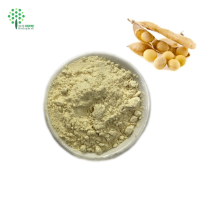 Lecitina di soia per uso alimentare 95% lecitina di soia in polvere - Product Image 2