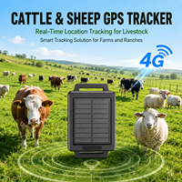 Traceur GPS Portable Solaire en Gros, Étanche, Antivol, 4G GSM, Suivi en Temps Réel, Stockage Cloud pour Bétail