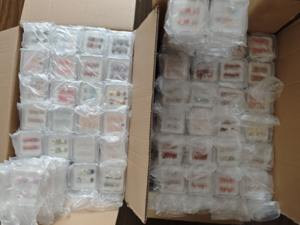 Precio <span class=keywords><strong>de</strong></span> Fábrica: Caja Sorpresa <span class=keywords><strong>de</strong></span> Uñas Acrílicas Hechas a Mano <span class=keywords><strong>de</strong></span> Alta Calidad, <span class=keywords><strong>Venta</strong></span> <span class=keywords><strong>de</strong></span> Excedentes, Uñas <span class=keywords><strong>de</strong></span> Formas Aleatorias con Kits <span class=keywords><strong>de</strong></span> Herramientas Gratis - Product Image 6