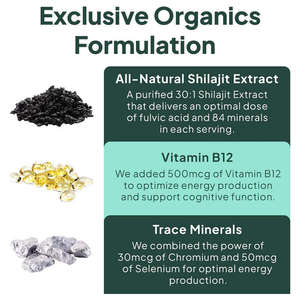 Oem Himalayan Shilajit Gold Gummies: Het Ultieme Tri-Batensupplement Voor Aanhoudende Energie, Scherpere Focus Sterkere Immuniteit - Product Image 4