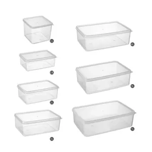 Transparent Sealed Food Storage Box Plastic Preservation Box Rectangular Freezer With Lid Sealed Storage Box