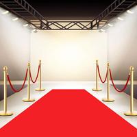Poteaux de séparation en acier inoxydable pour tapis rouge, poteaux de gestion de file d'attente, poteaux de signalisation avec corde en velours