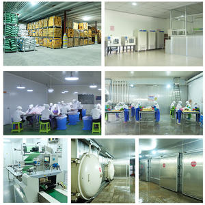 تشينغشون حار بيع العضوية كوركمين مسحوق الكركم - Product Image 6