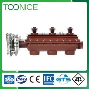 Toonice 24kV 12kV SF6 наружный высоковольтный выключатель нагрузки 630A 3-полюсный выключатель моторизованного типа - Product Image 6