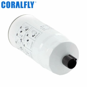 R010042 612630080203 Filtre à carburant pour camion FS36210 BF1375 1094176300 5289992 5402705 - Product Image 4