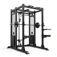DDP Power Rack avec deux colonnes de poids de 120 kg, colonnes de câbles, rack à squats commercial, machine Smith de gym grand format pour usage domestique et professionnel
