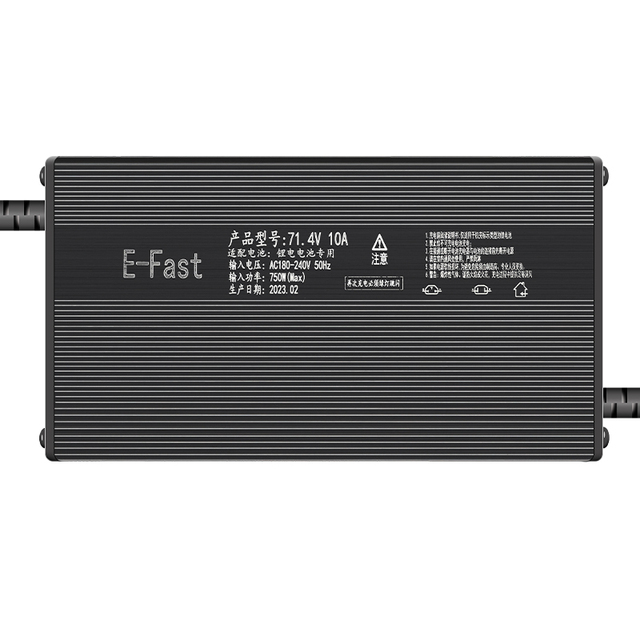 E-Fast Hot Selling 60V 8A Charge Lithium Battery Charger 16S 17S 67.2V 71.4V with Ce Cb Fcc Rosh Certification