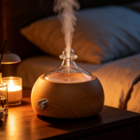 Vente de nébuliseur d'huiles essentielles sans eau, aromathérapie, diffuseur d'arômes 30 ml