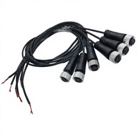 Conector de Sensor M12 Personalizado OEM ODM, 2 Pines, Código A, Hembra, Recto, Cable de Aviación, Arnés de Extensión, Electrónico, 300V, PVC