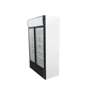 Vetrina commerciale del congelatore del frigorifero del frigorifero delle bevande fredde dell'esposizione verticale