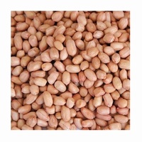 Vente directe d'usine de cacahuètes chinoises à peau rouge, qualité alimentaire, emballage personnalisable, matière première de transformation