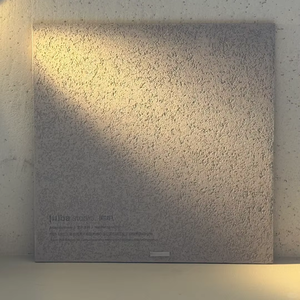 Vernice Liquida Acrilica Industriale per Pareti a Base d'Acqua Marca BEXISYA, Arte Murale Argentite Rustica Contemporanea per Portare <span class=keywords><strong>la</strong></span> Natura a Casa - Product Image 3