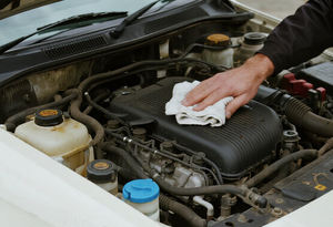 布布布布白布布布白白白白綿 - Product Image 6